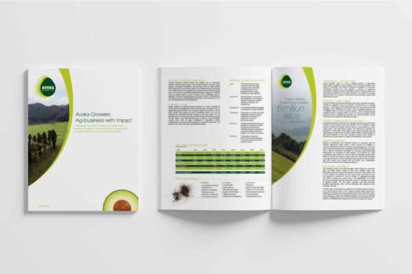 Brochure design for Avoka, an avocado agribusiness, showcasing its business plan and marketing collateral with a clean, professional layout.